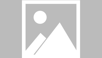 极速赛车-【布鲁克林网事】两只妖怪、两只妖怪，太耍赖！