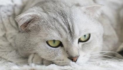 极速赛车-世界杯预选赛丨朱俊龙表现亮眼 中国男篮取得两连胜