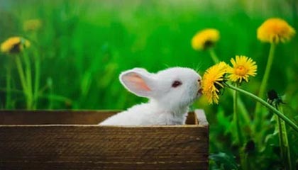 极速赛车-世界杯预选赛丨朱俊龙表现亮眼 中国男篮取得两连胜